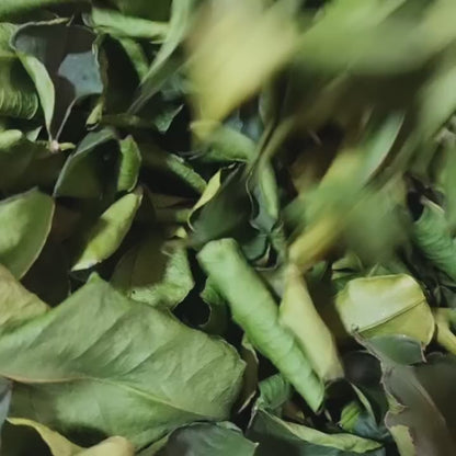 Dried Thai lime leaves