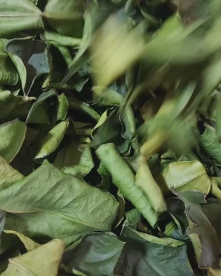 Dried Thai lime leaves
