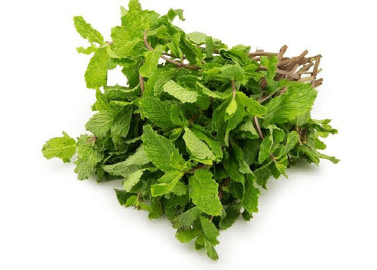 Pudina Mint Leaves