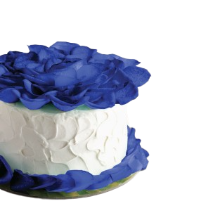 Romeo Lily's Cupcake