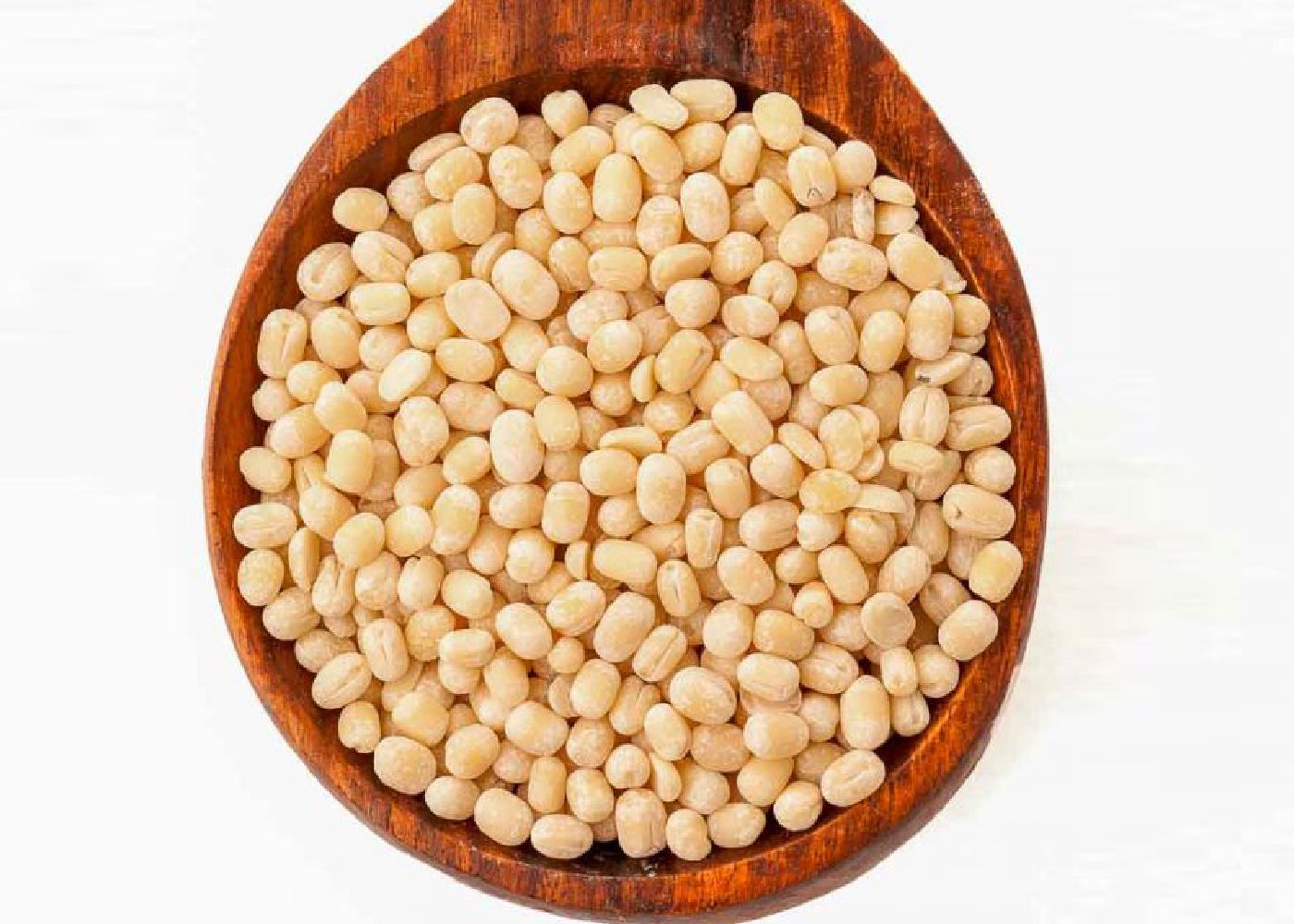 Urad Gota
